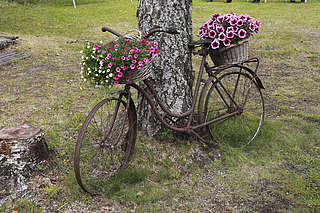 Kukkea kulkuväline